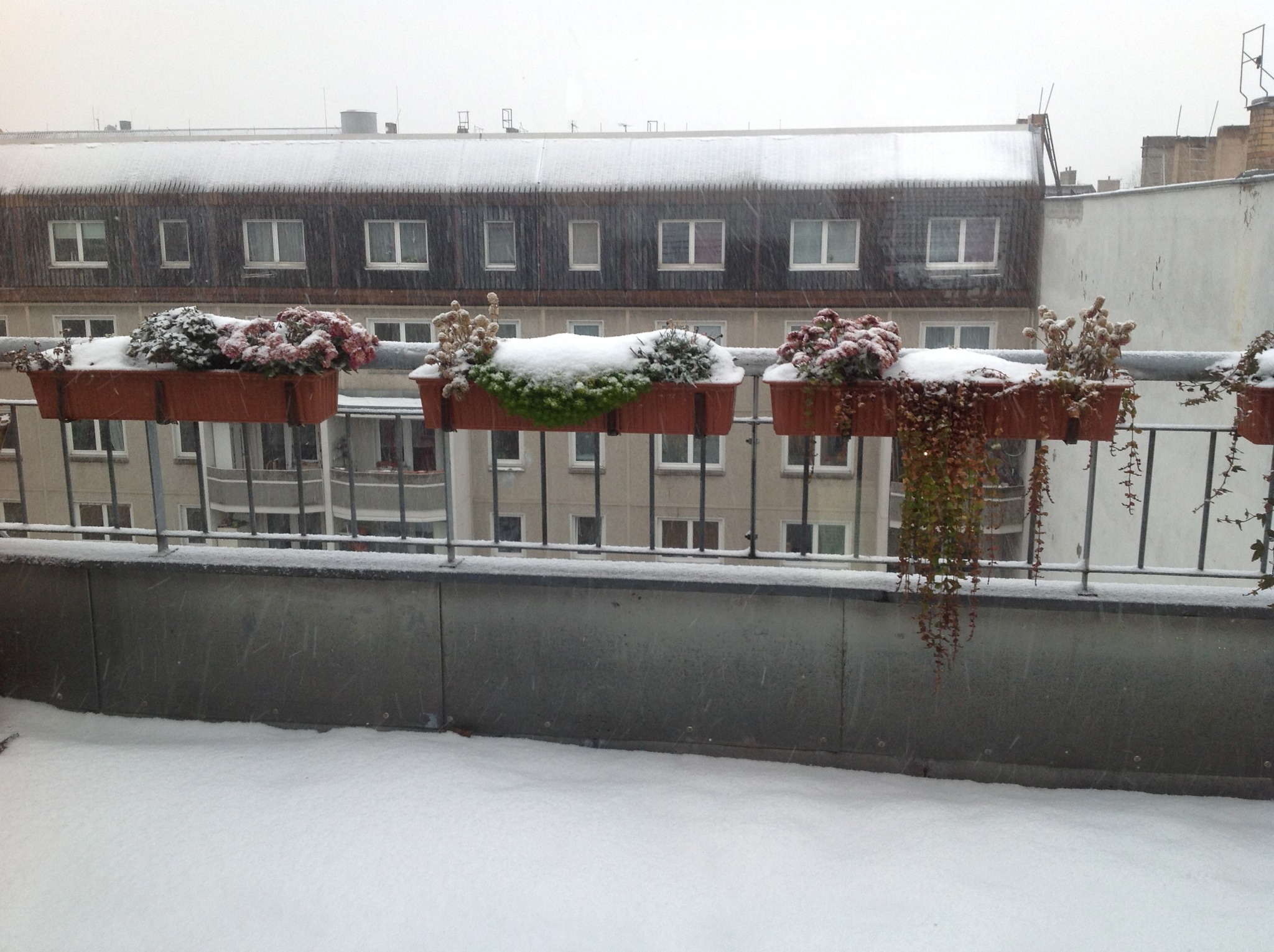Berlín, tres de la tarde con doce minutos. Miro por mi ventana y afuera hay...